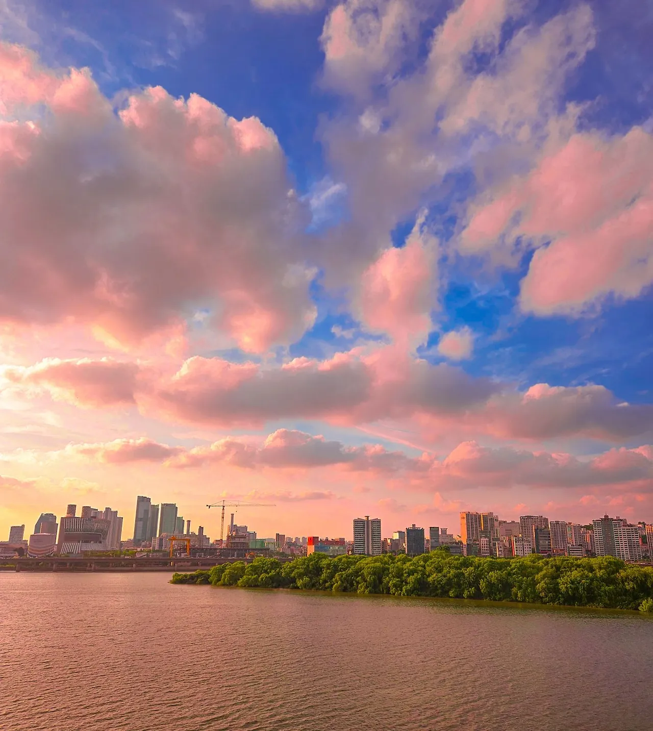 1749599441097?e=1754524800&v=beta&t=RIOJ22eeeUstuBqWvvA-rNbLIJGpsG3X46tawZWHnhM