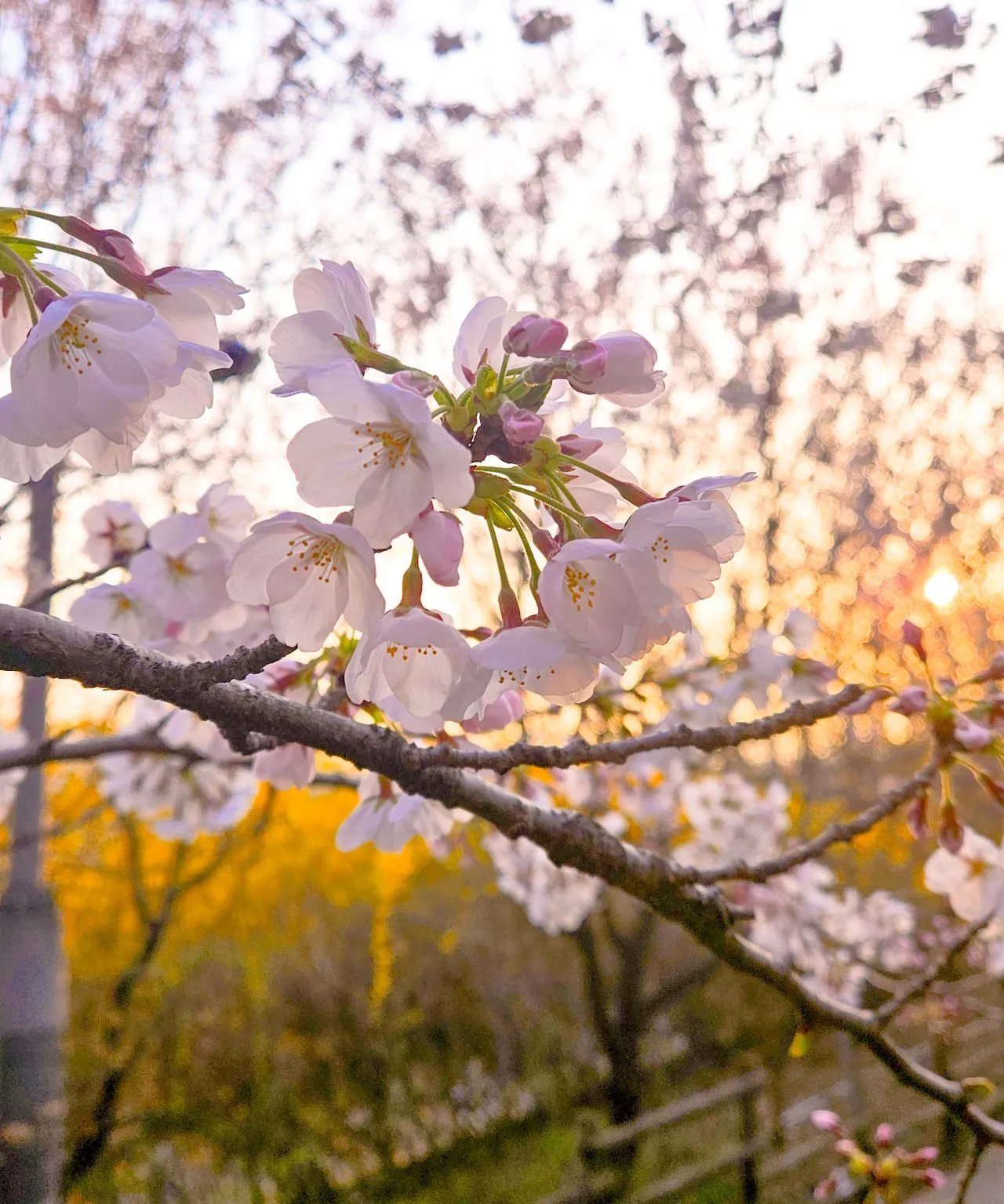 1743979362291?e=1749686400&v=beta&t=fZTBo25gM6NTi20p8BZuoNimUoMn_Z4bS1-Qu1w-mjs