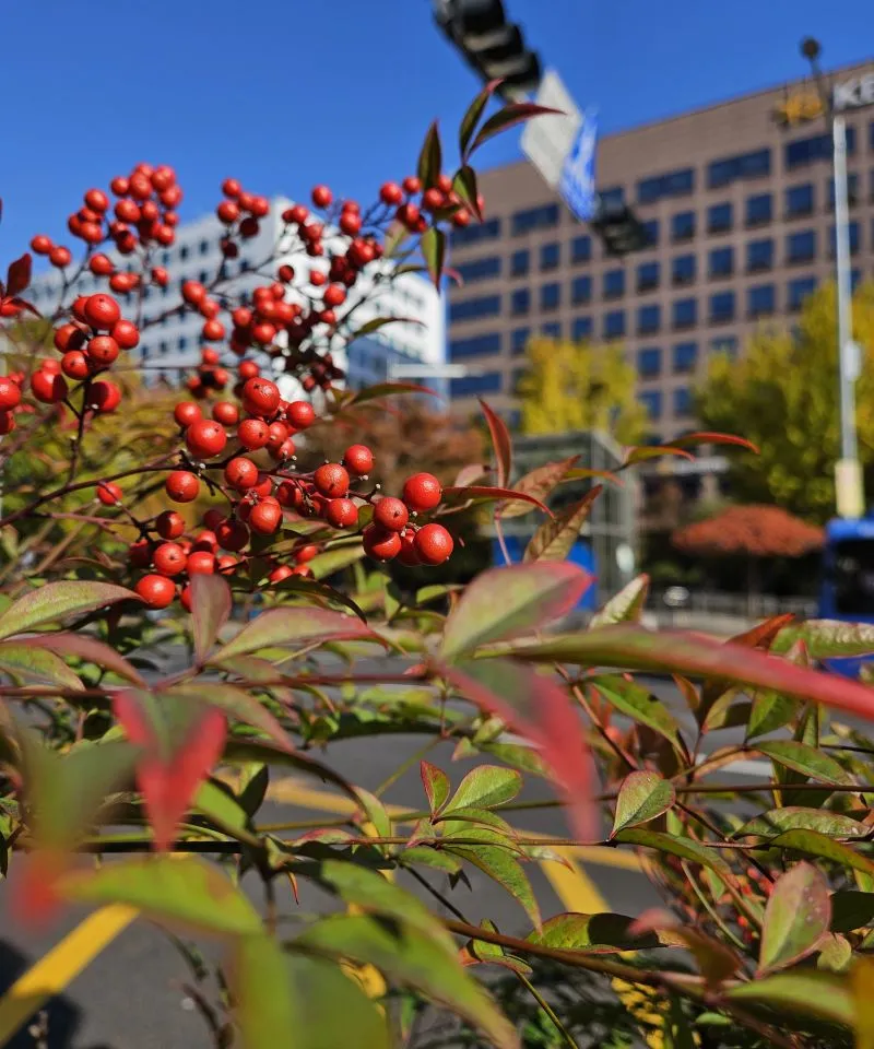 1731904075304?e=1741824000&v=beta&t=djGjOy92JfEL2MkifX5BhofmS9JtUyH9Zi3seG5YGAY