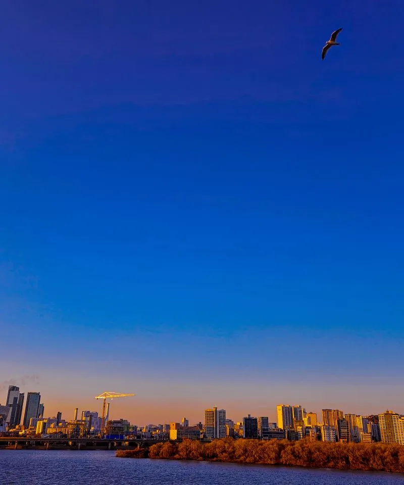 1739832255267?e=1745452800&v=beta&t=3ETBQM9rCkUd_V1K14tn2G46qCCp_zV4HD4PPwo3yII