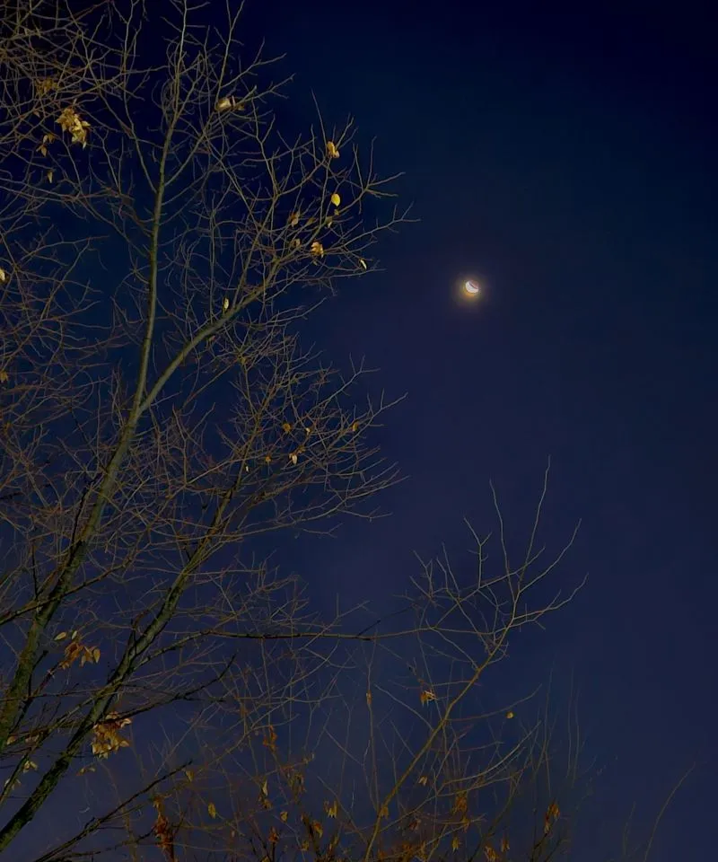 1732485063930?e=1741824000&v=beta&t=K4E4PvdHLZ-hG0NUOEh-5oBSADuOnVTnGzMbXxjykRU