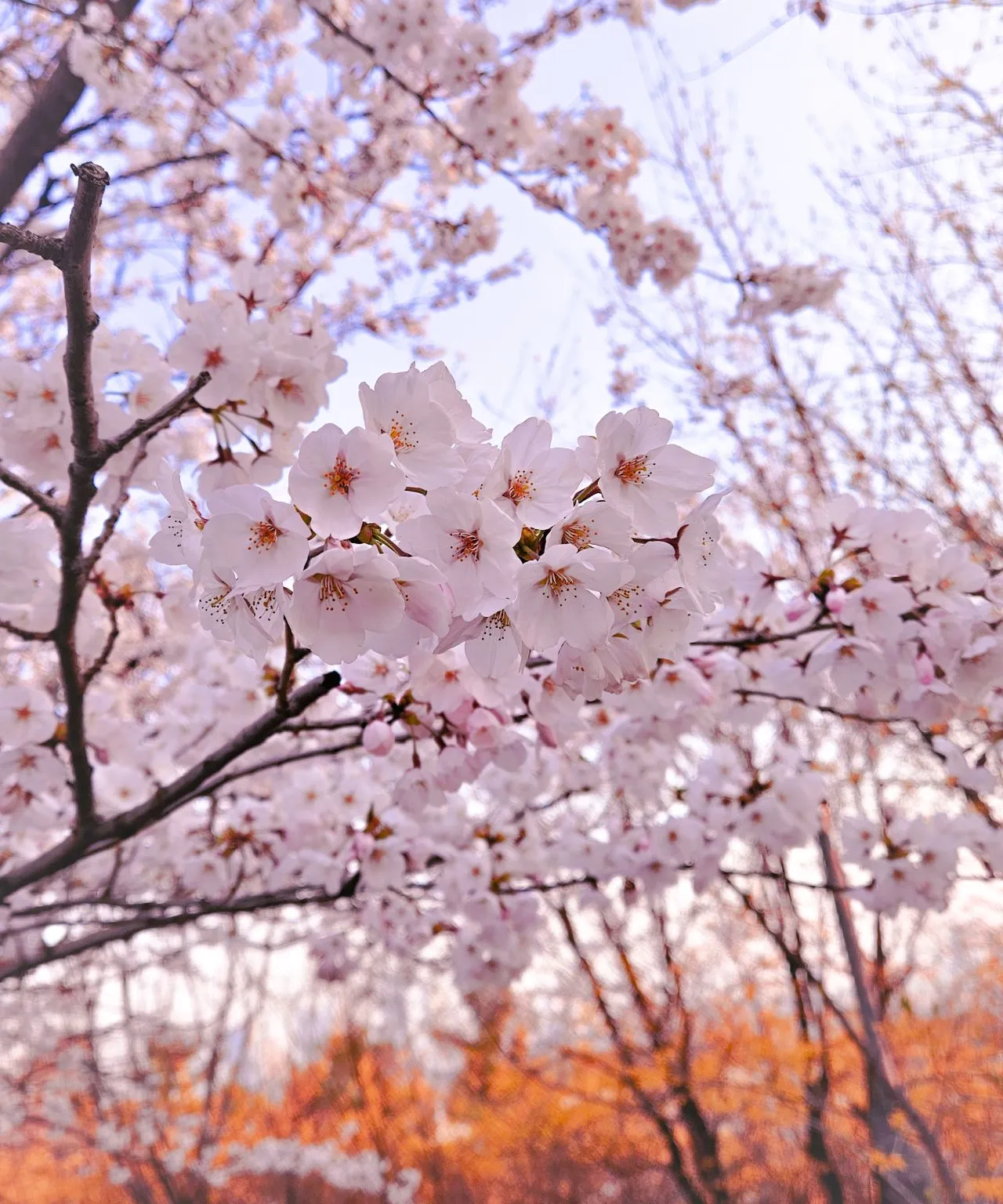 1743979361939?e=1749686400&v=beta&t=UyAptqHfwWhO5UvpGleB2eI8bgYxn4j-RDahL5CLirs