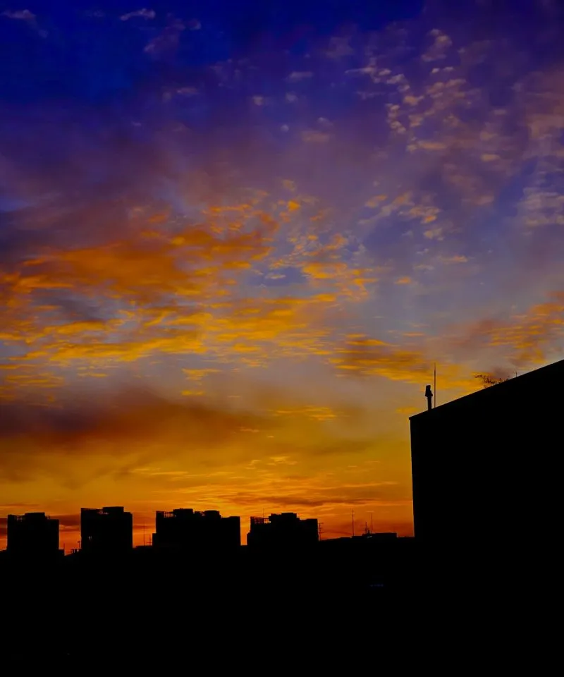 1732056924906?e=1741824000&v=beta&t=5SDh_09DWlAyu4ESfDH7W0vcfAmoZdBJ6Gul8Hmg8Hc