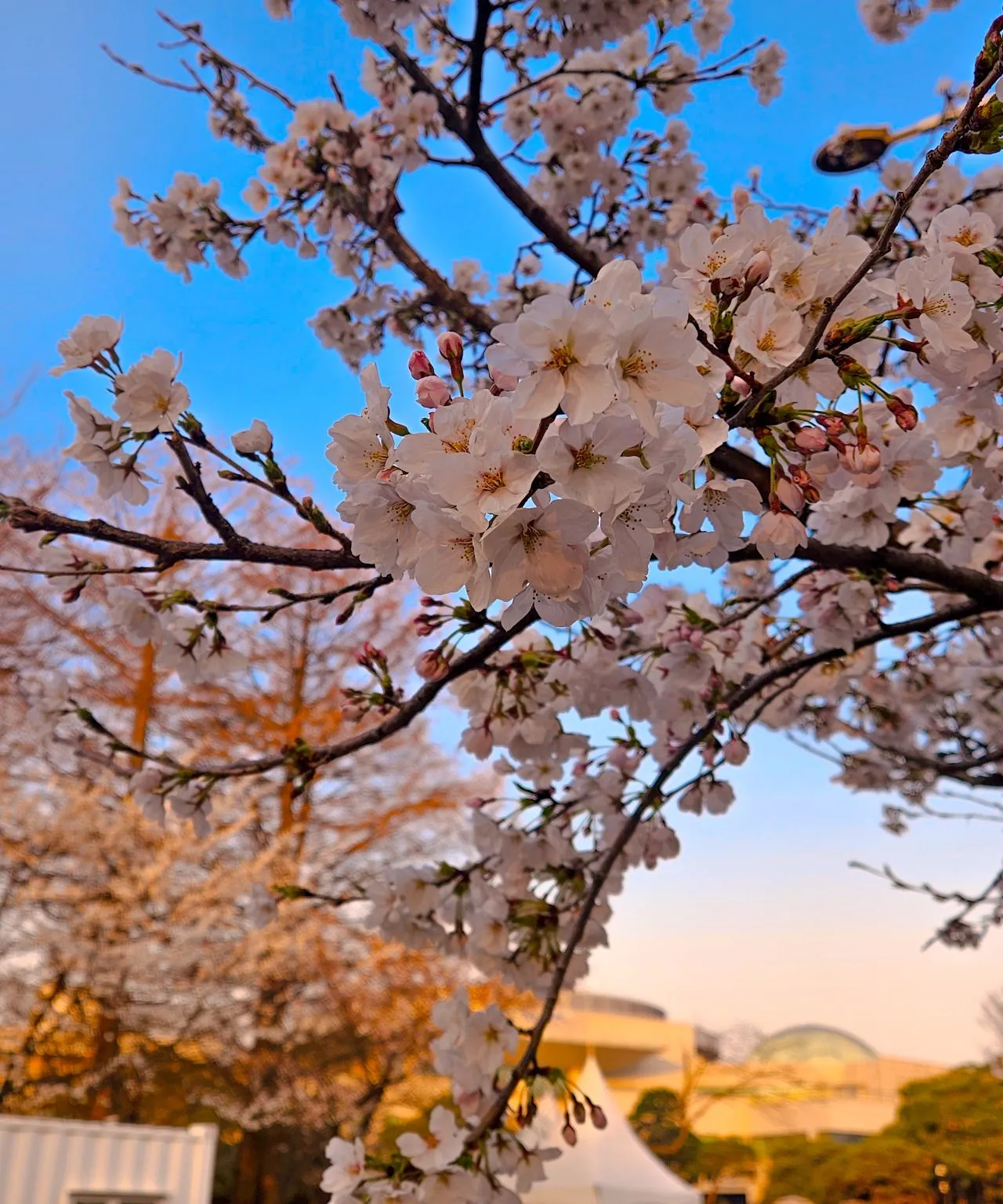 1743979362054?e=1749686400&v=beta&t=w7TBtBvKUOLaoYMa5pSye4S9J-x_mRkw1AubceZ2r84