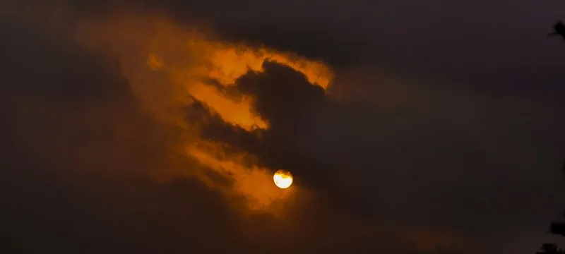 1733260000186?e=1743638400&v=beta&t=wE8xnk4VMJDETO_JSe4zT00E8Xj3eowgLNye0oOIMC4