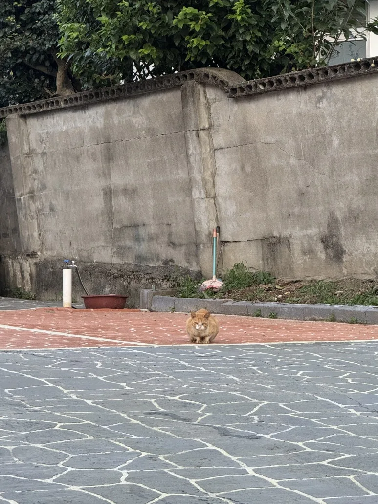 IMG_0470.jpg?type=w773