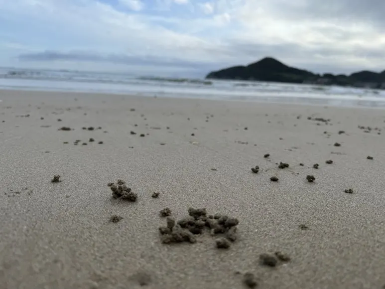 IMG_0440.jpg?type=w773