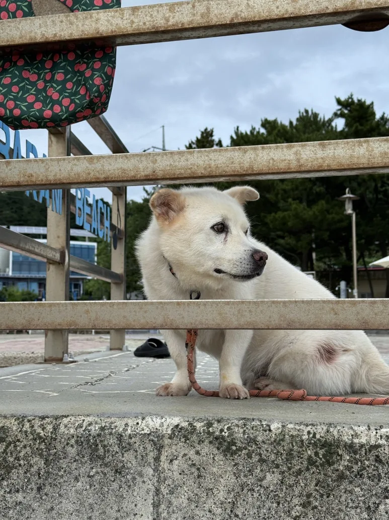 IMG_0422.jpg?type=w773