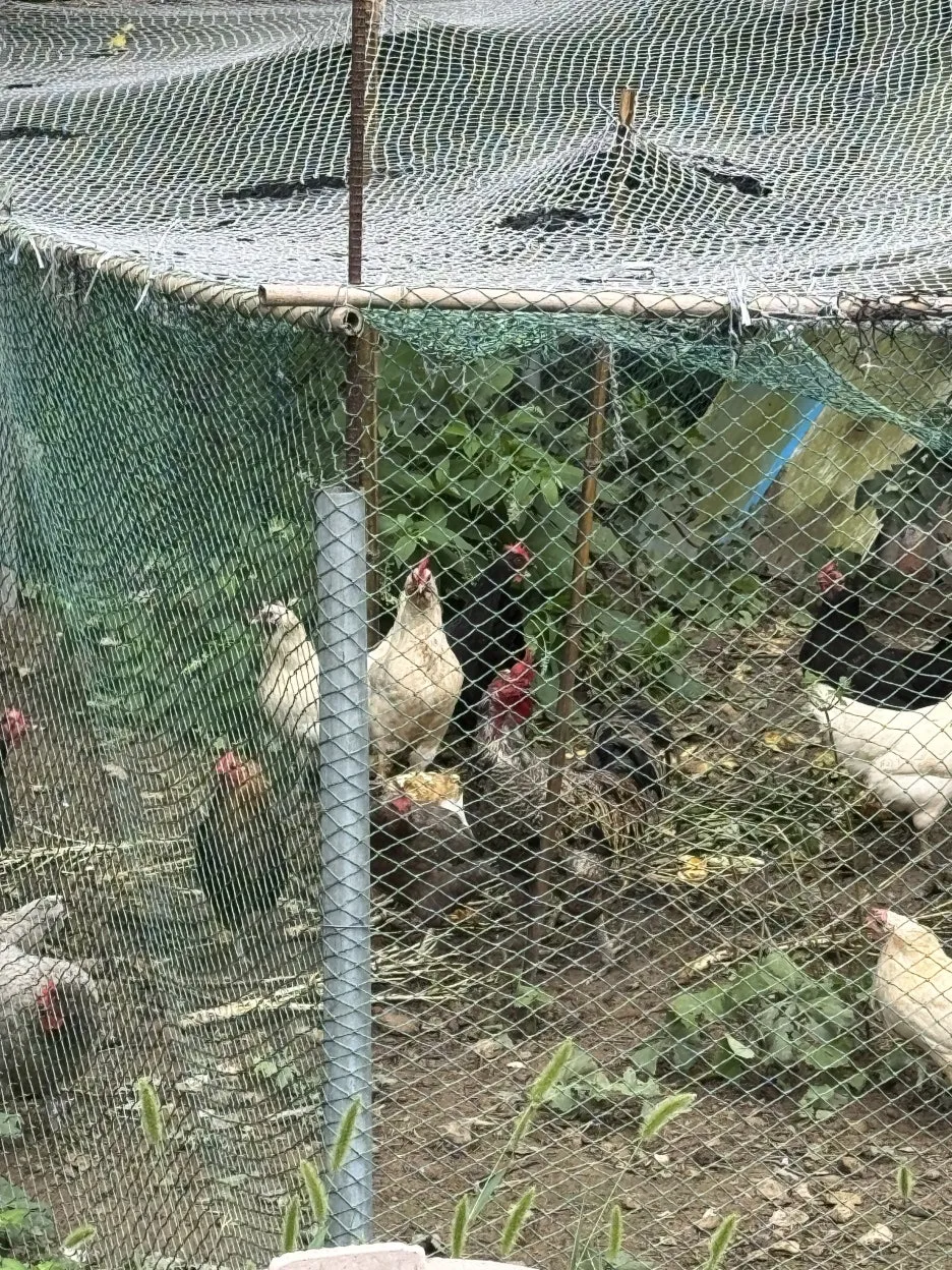 IMG_0360.jpg?type=w1