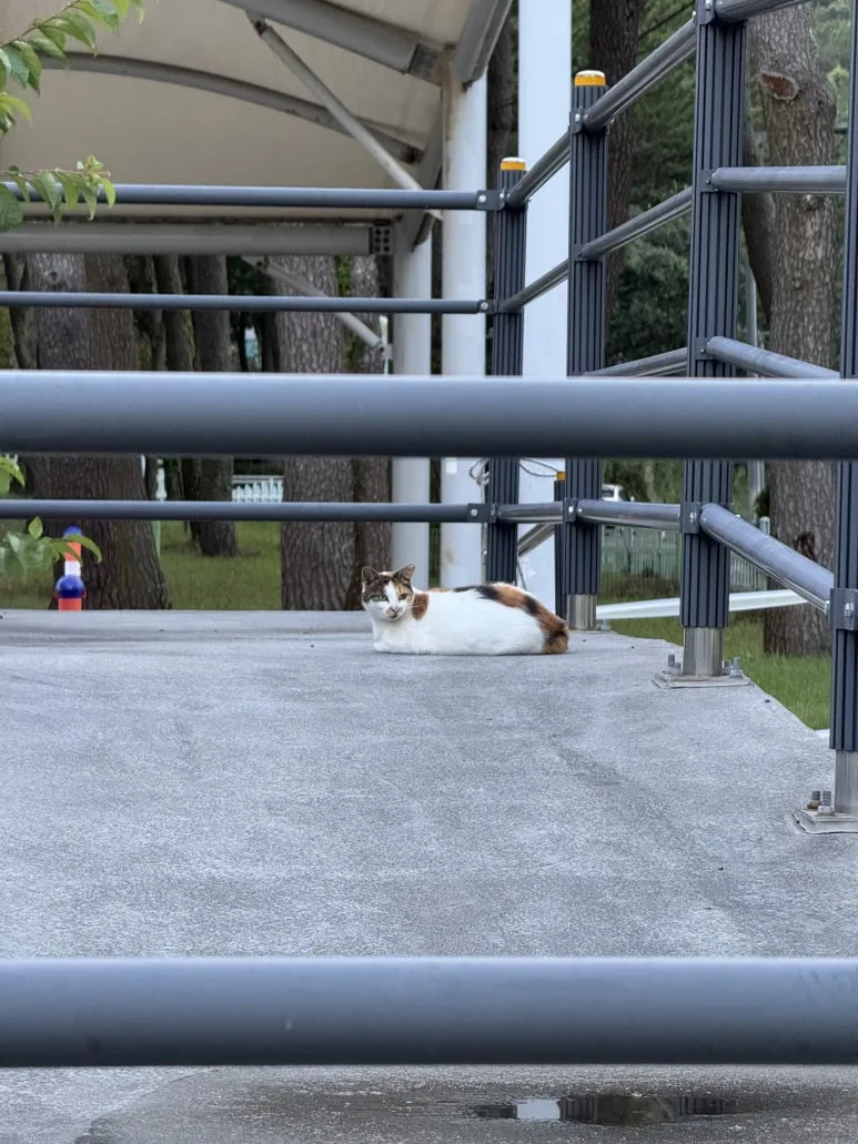 IMG_0471.jpg?type=w773