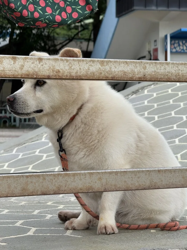 IMG_0418.jpg?type=w773