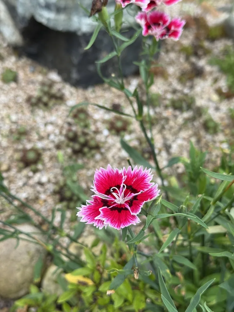 IMG_0378.jpg?type=w773