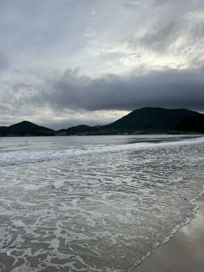 IMG_0459.jpg?type=w773