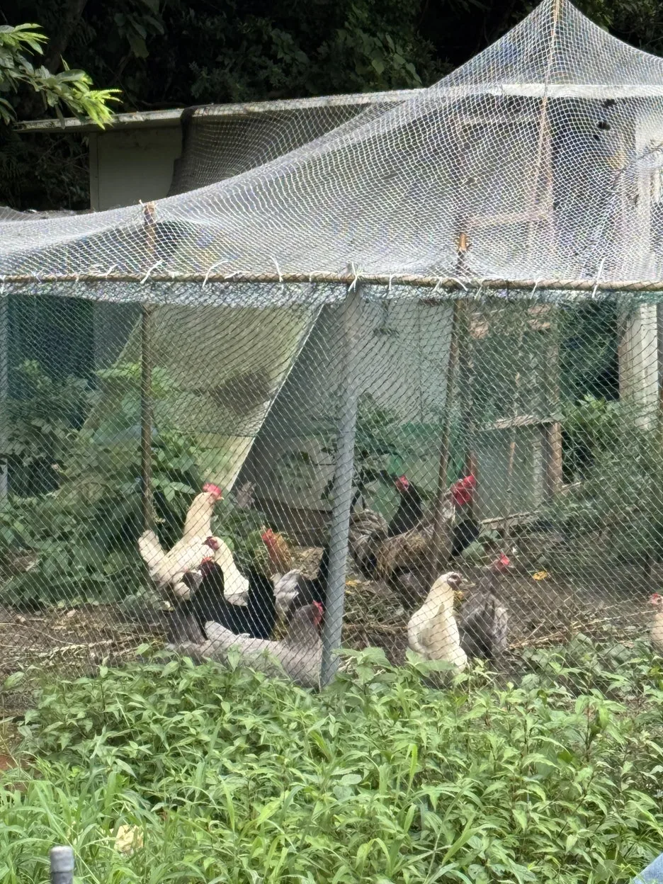 IMG_0357.jpg?type=w1