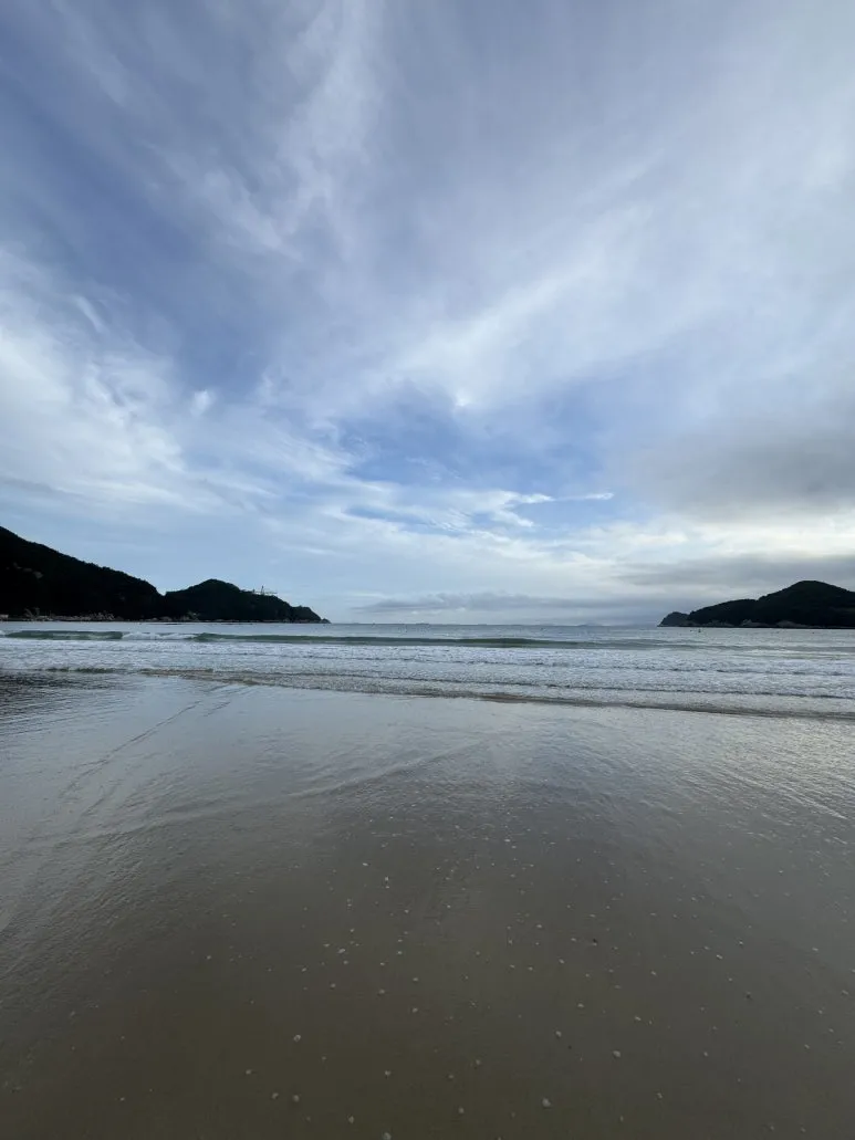 IMG_0431.jpg?type=w773