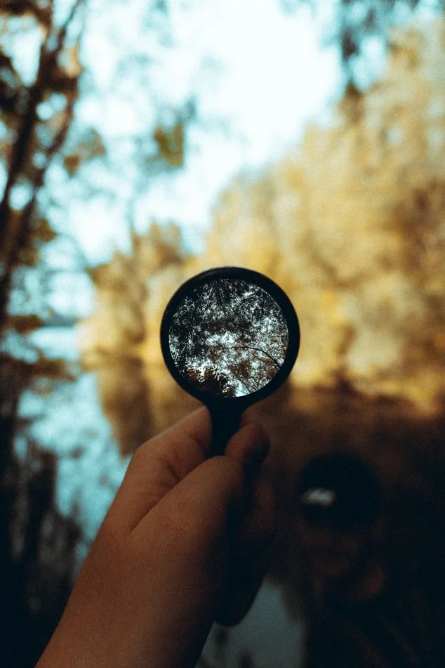 photo-1601801004594-84f9b362935f.jfif