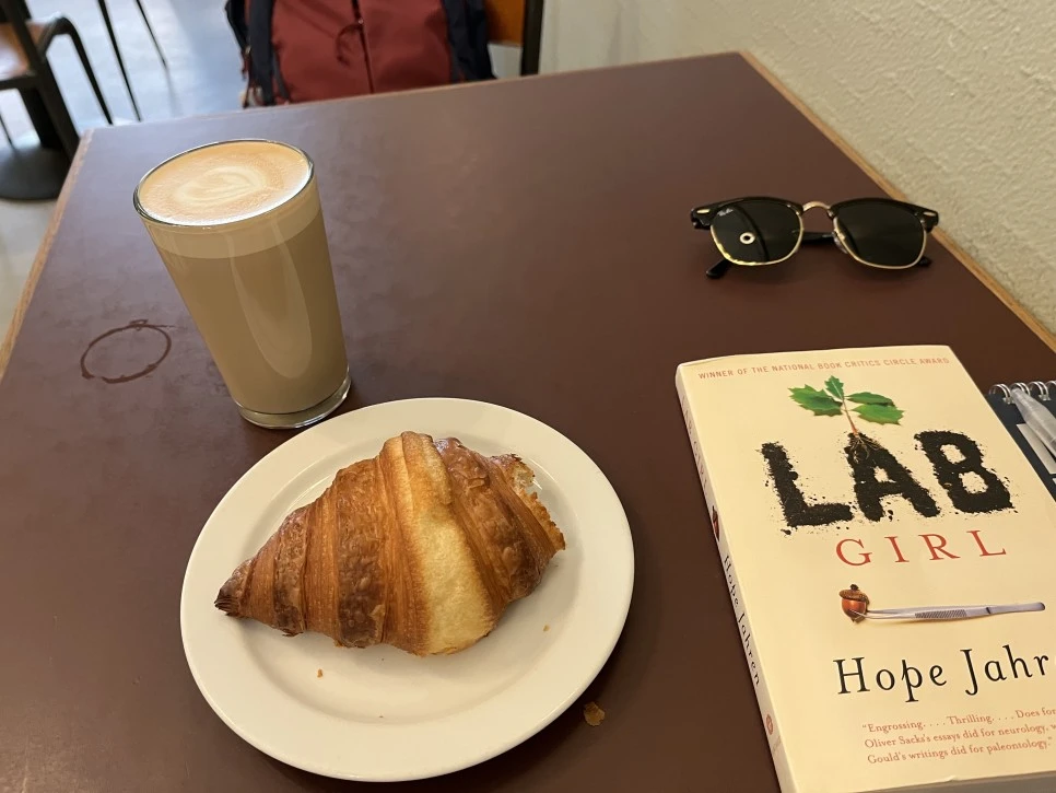 IMG_1229.jpg?type=w966