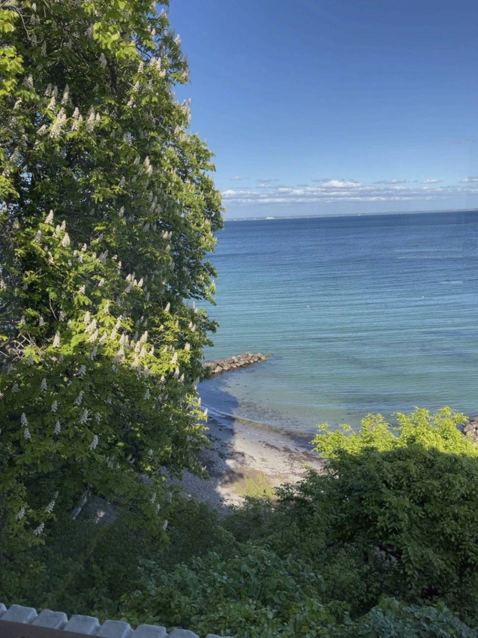 IMG_1726.JPG?type=w966