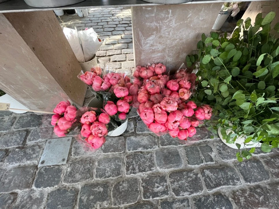 SE-f6a019d7-2329-4b15-9557-bd0719dc99ad.jpg?type=w966