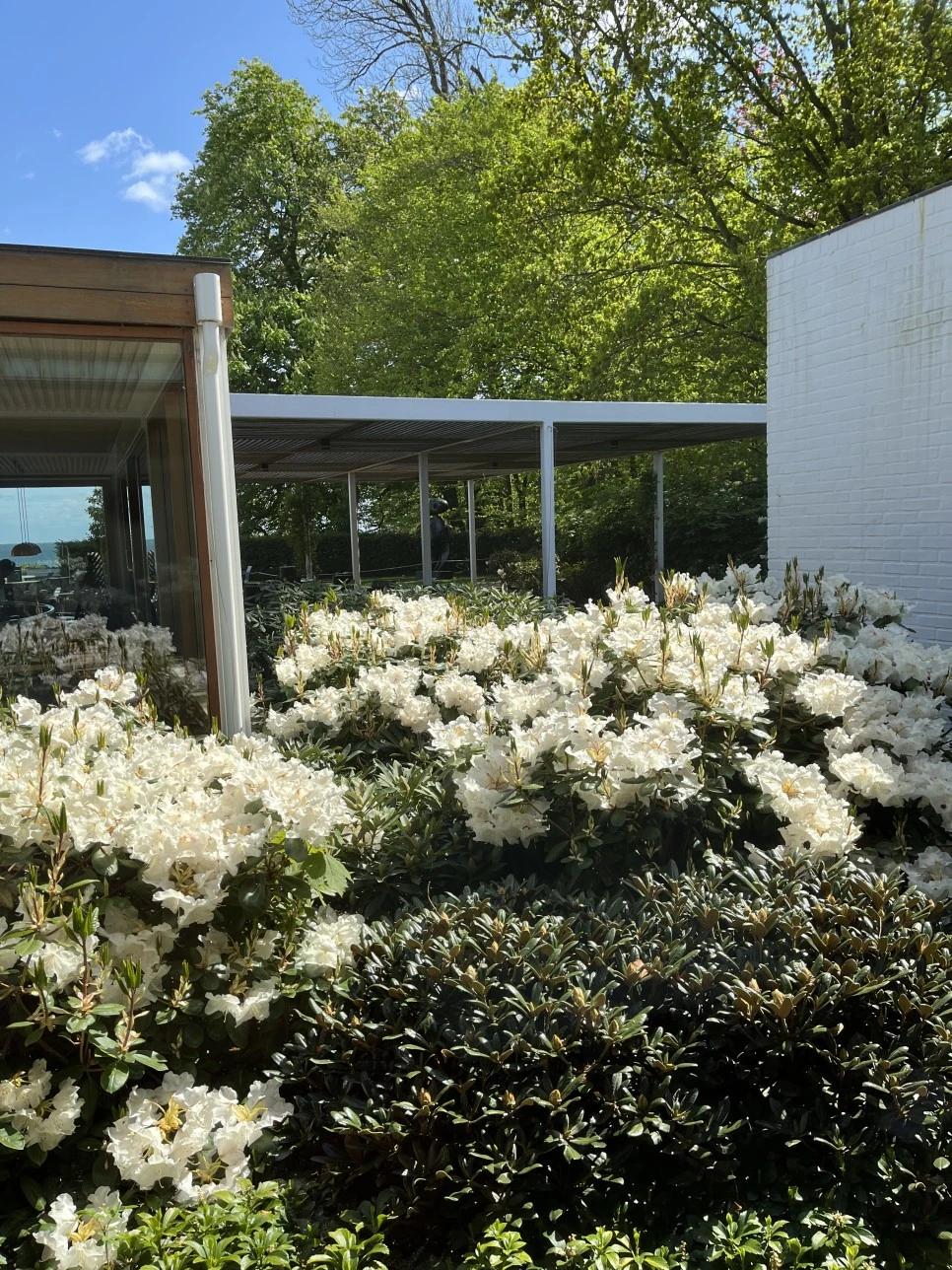 IMG_1685.jpg?type=w966