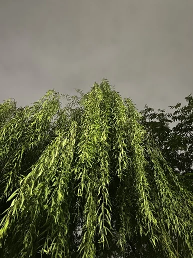 KakaoTalk_20251016_180036396.jpg?type=w386