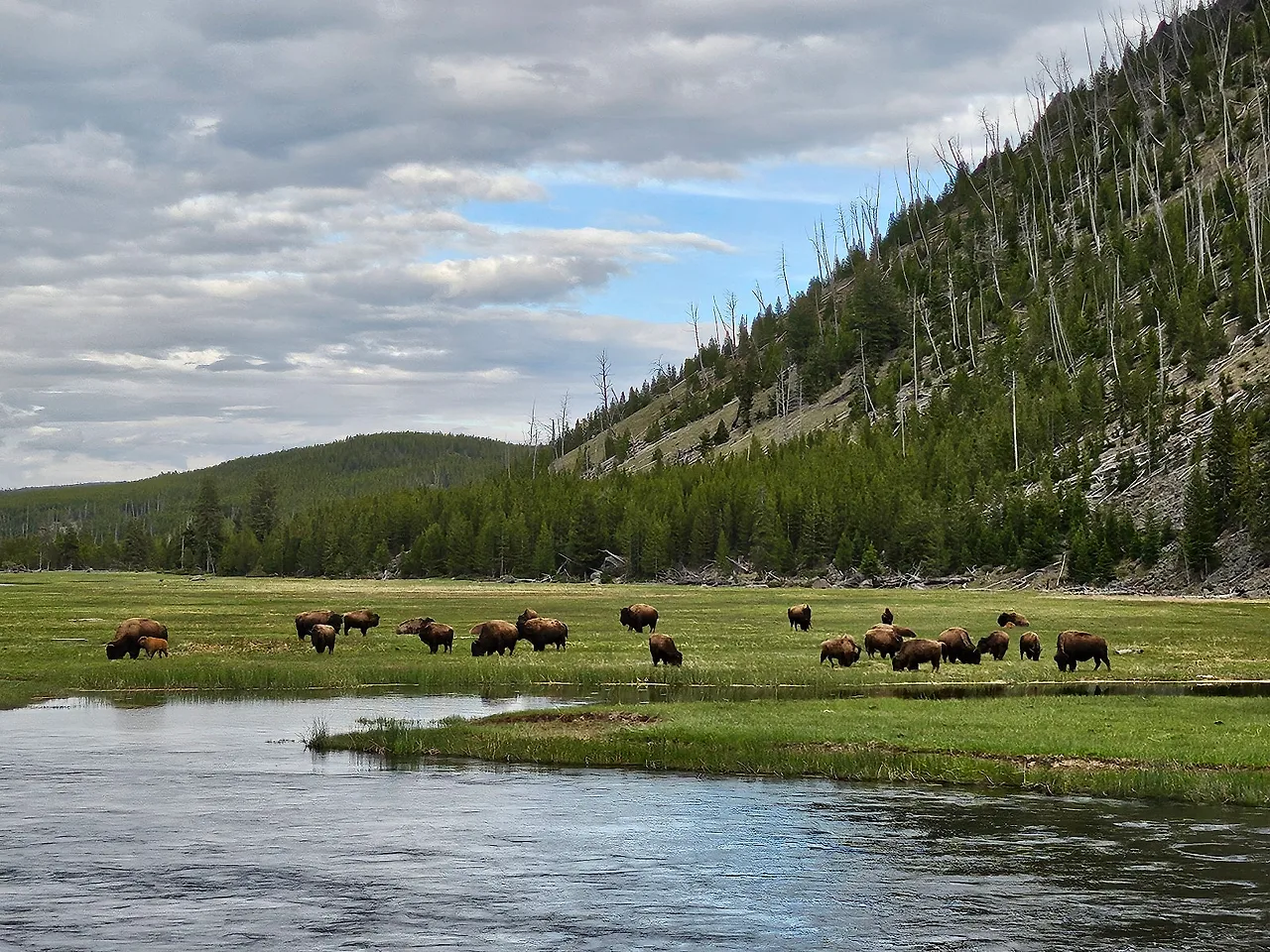 KakaoTalk_20240611_090228268_01.jpg?type=w1600