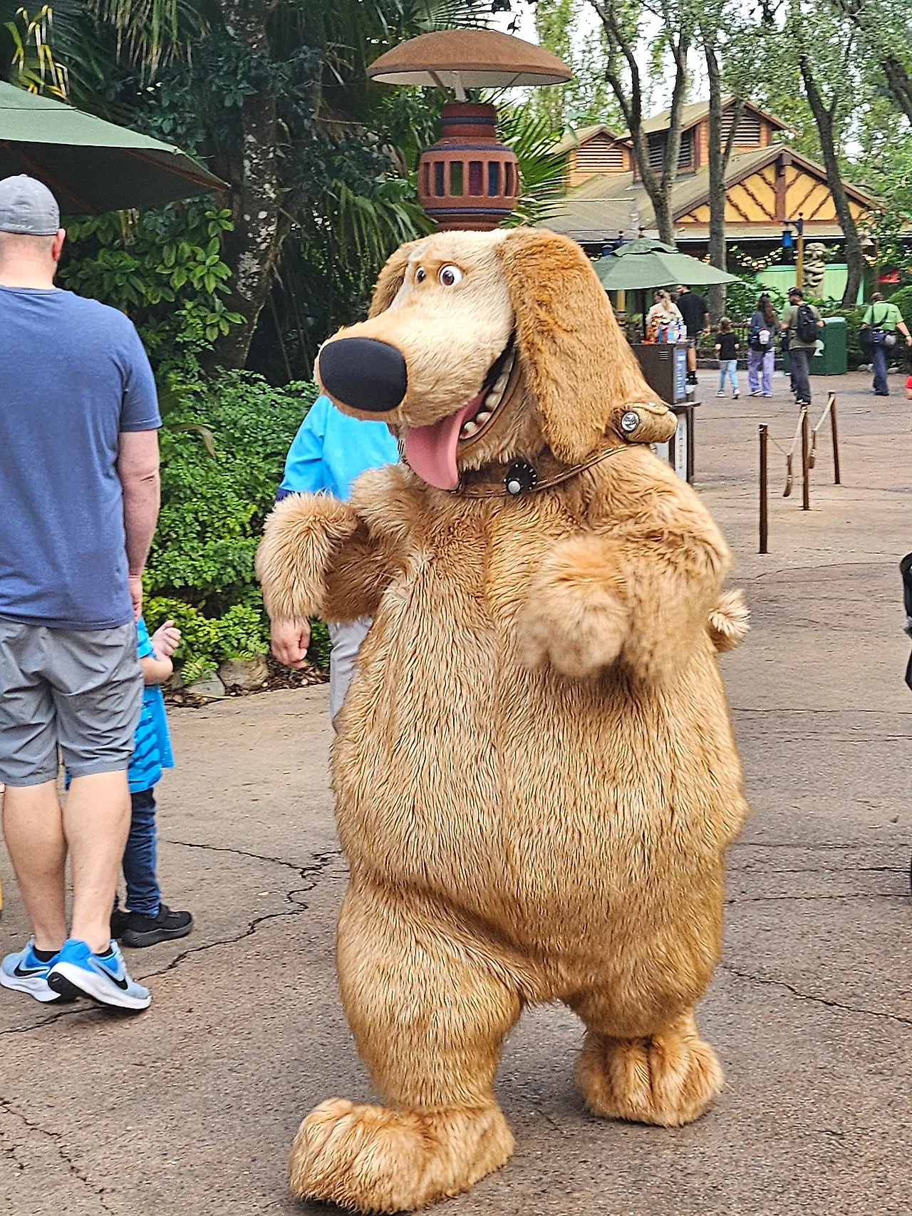 20241129_090641(0).jpg?type=w1600