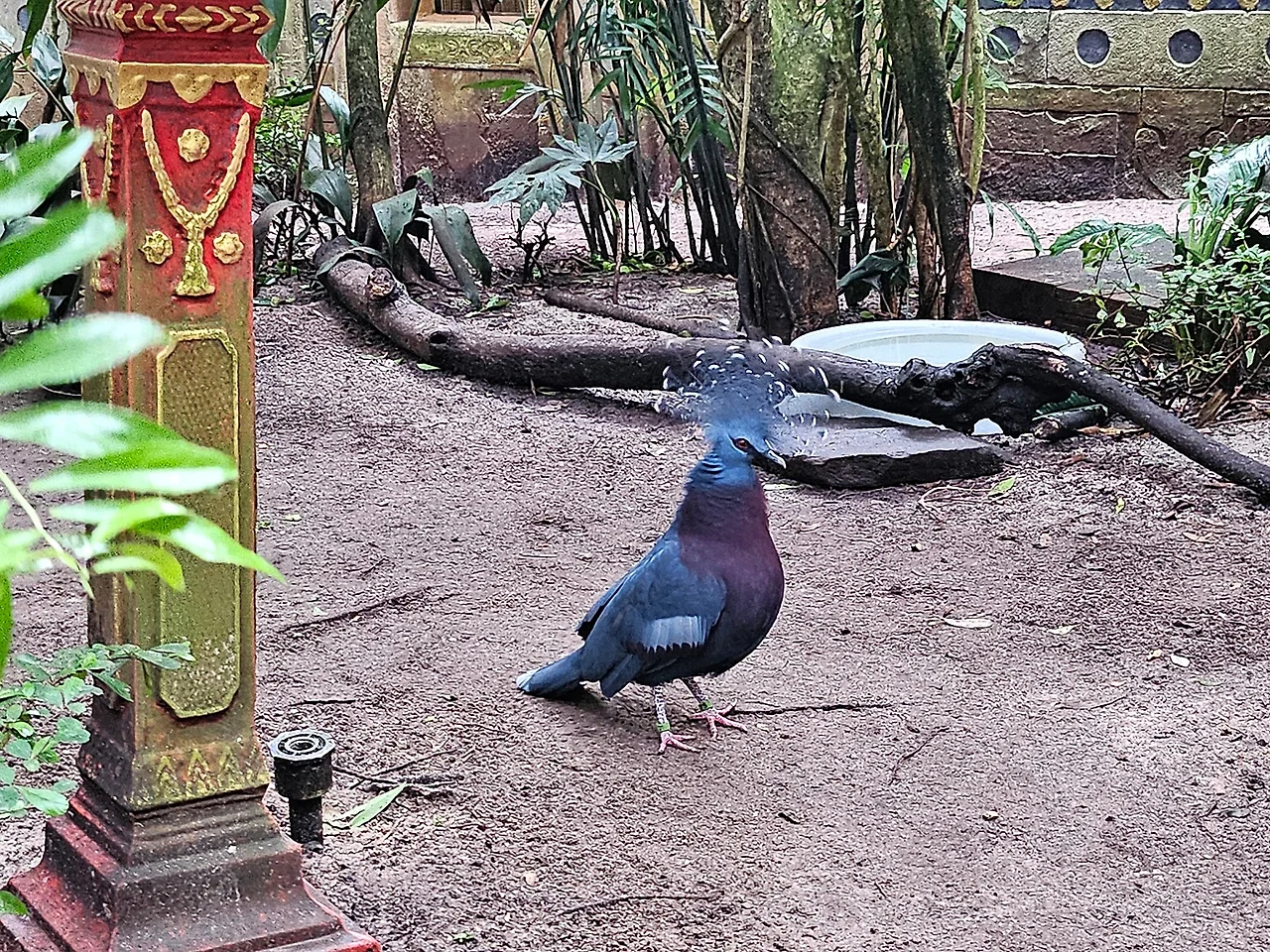 20241129_111520.jpg?type=w1600