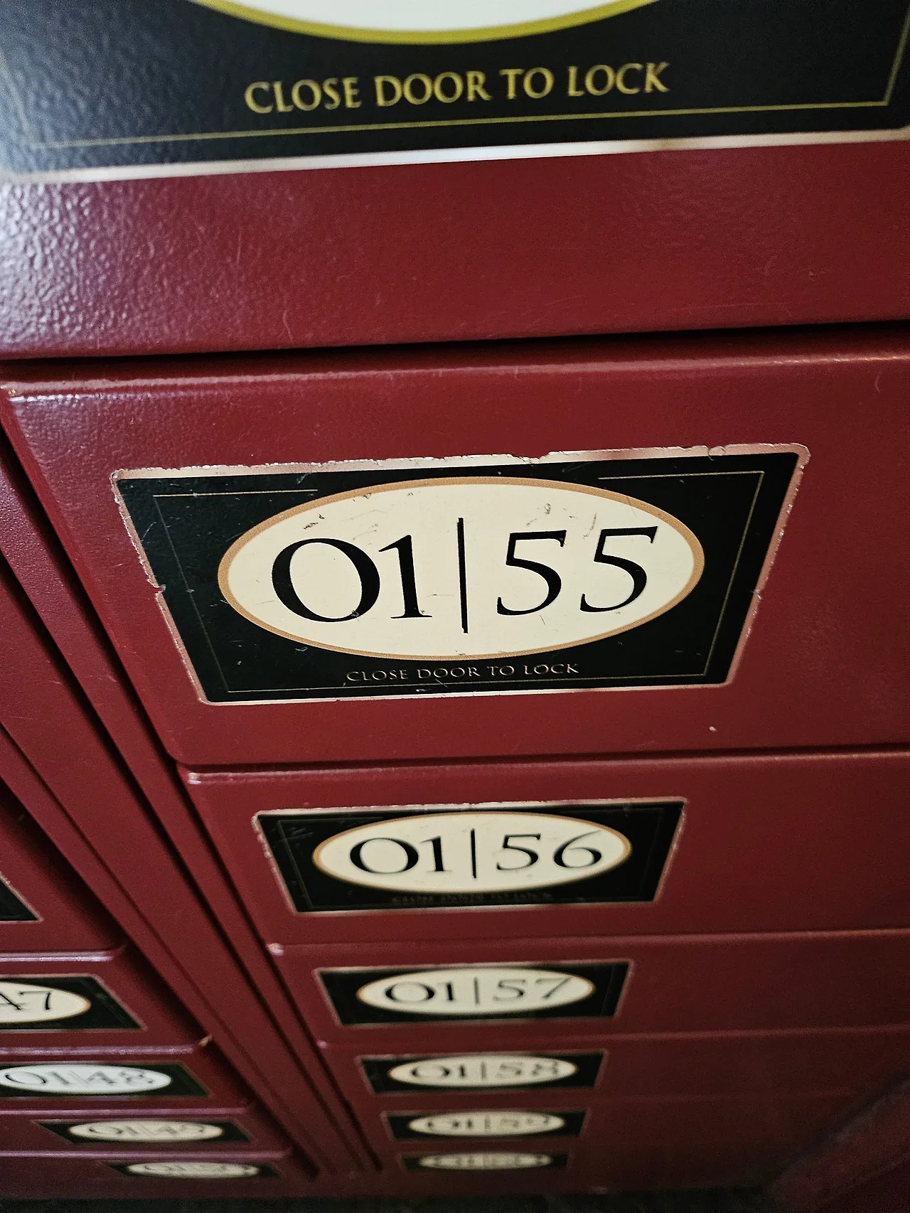 20241130_100202.jpg?type=w1600