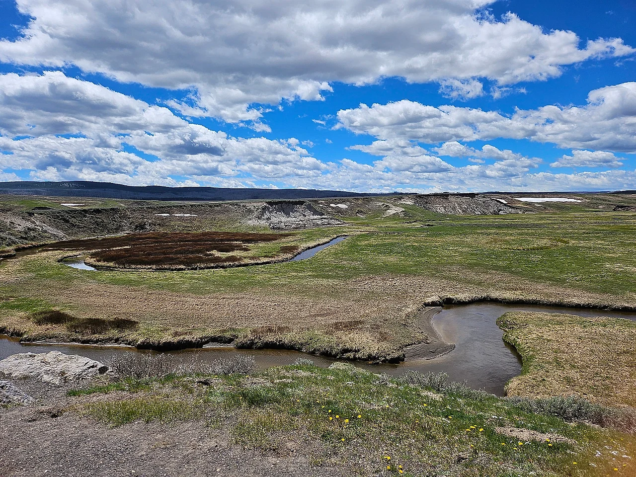 20240605_124807.jpg?type=w1600