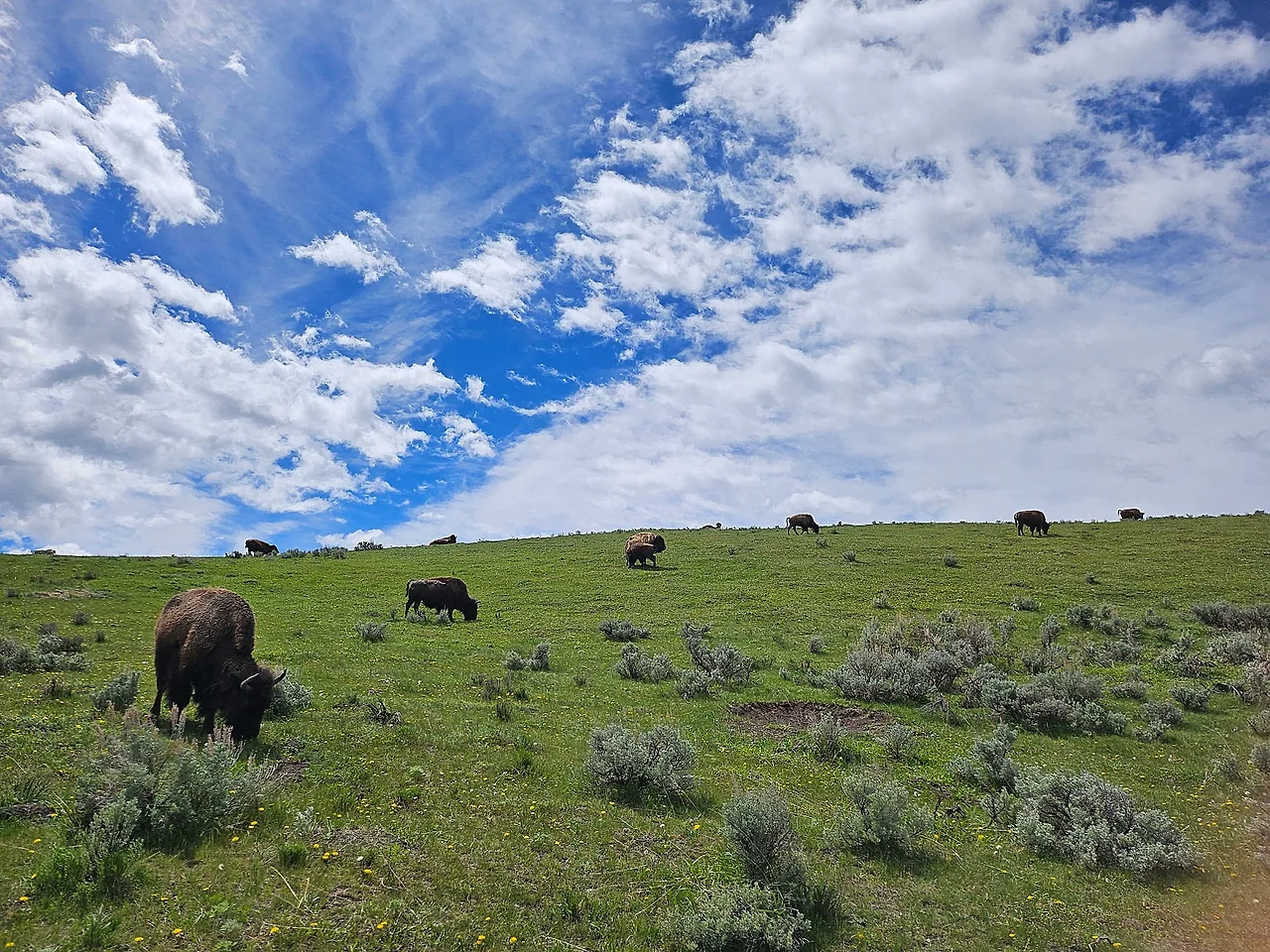 20240604_112513.jpg?type=w1600