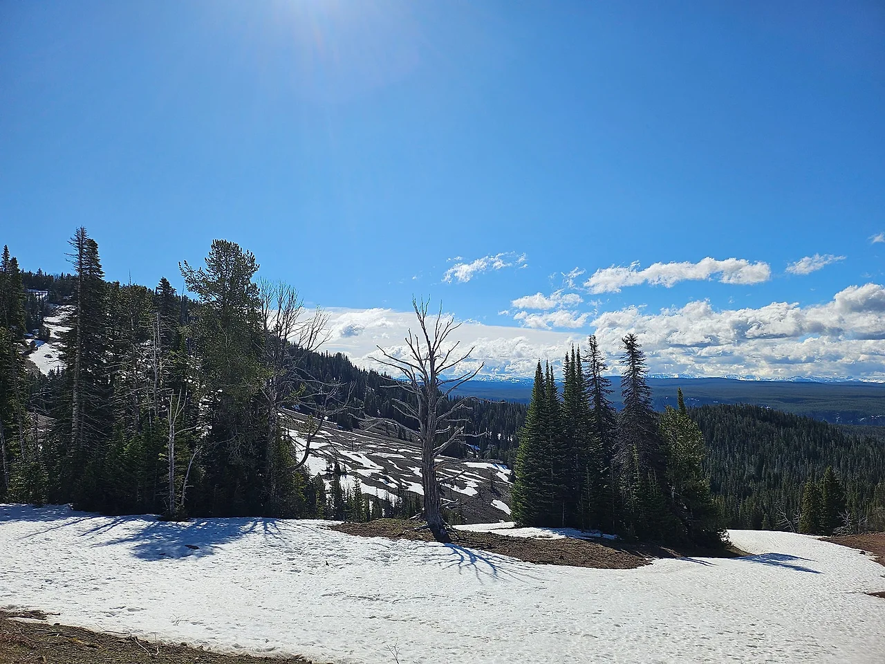 20240604_092828.jpg?type=w1600