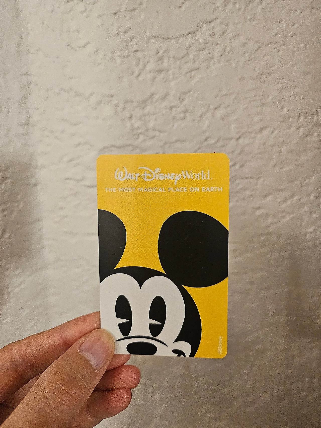 20241128_223826.jpg?type=w1600