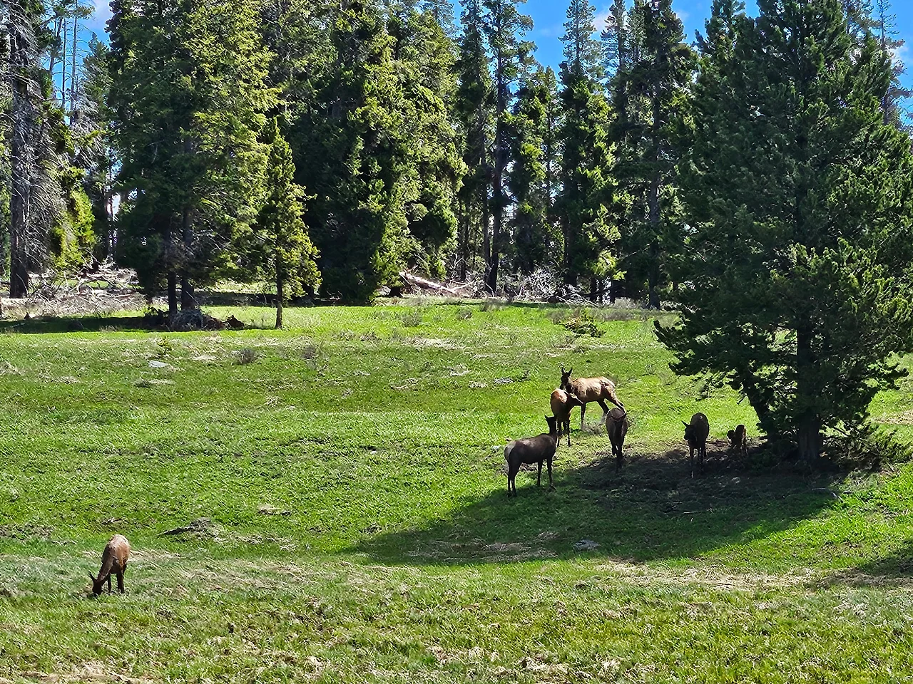 20240605_103853.jpg?type=w1600