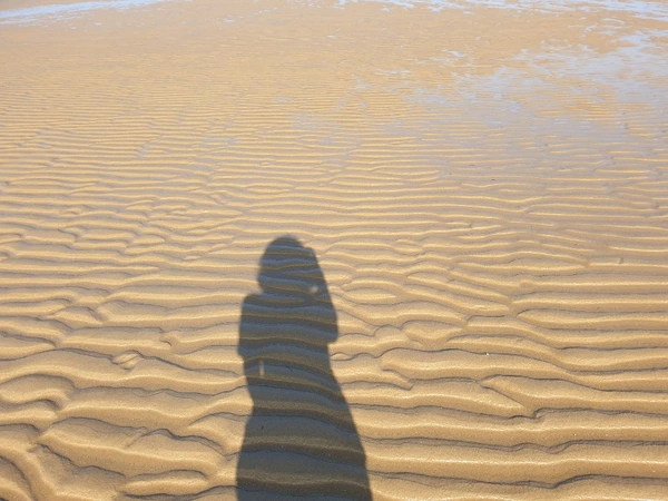 SE-6b944dd1-8523-4d9a-970b-82069863d149.jpg?type=w1