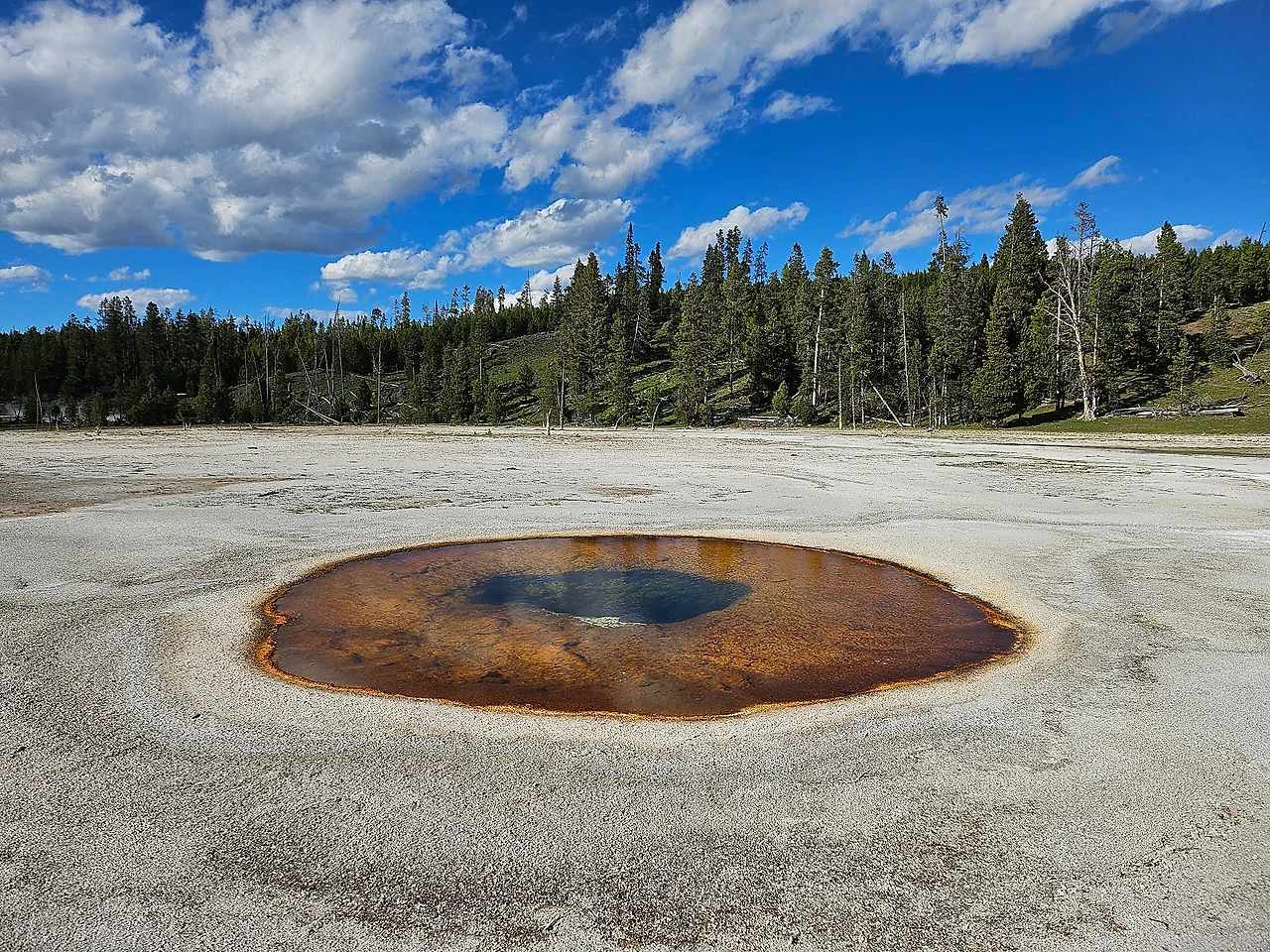 KakaoTalk_20240609_150002449.jpg?type=w1600