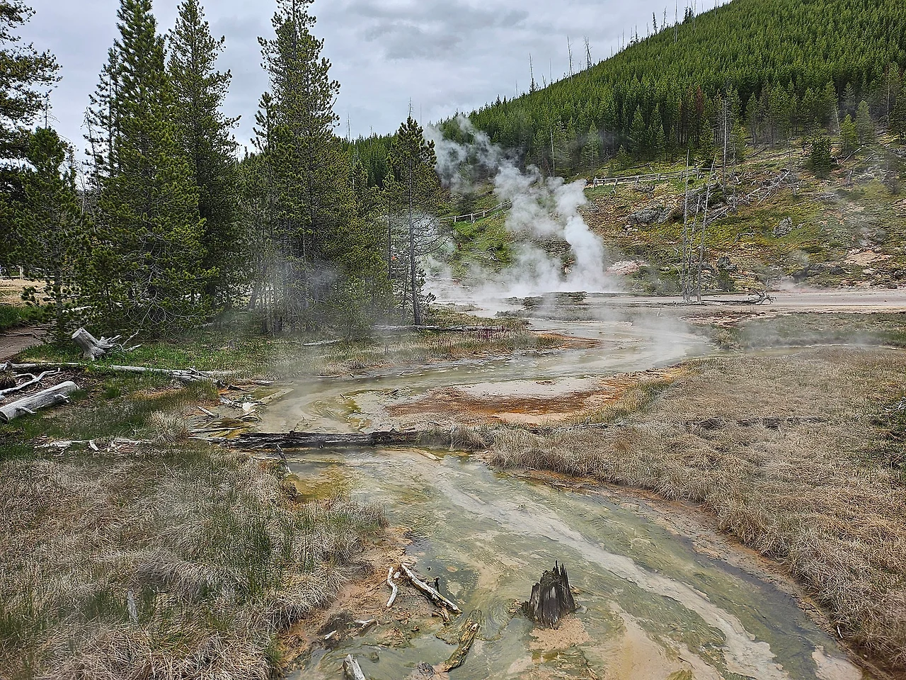 20240604_172245.jpg?type=w1600