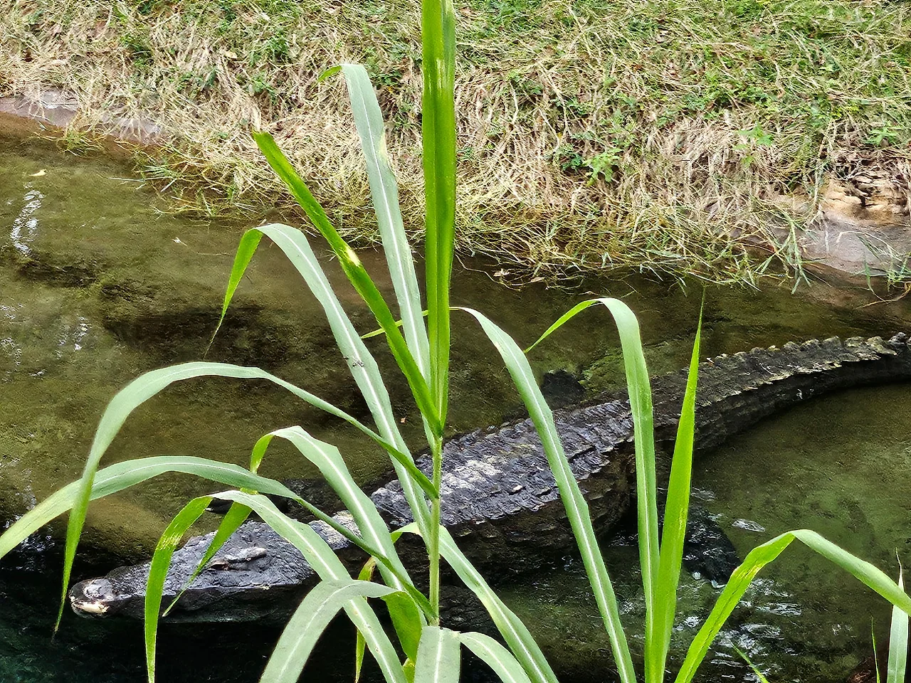 20241129_123848.jpg?type=w1600