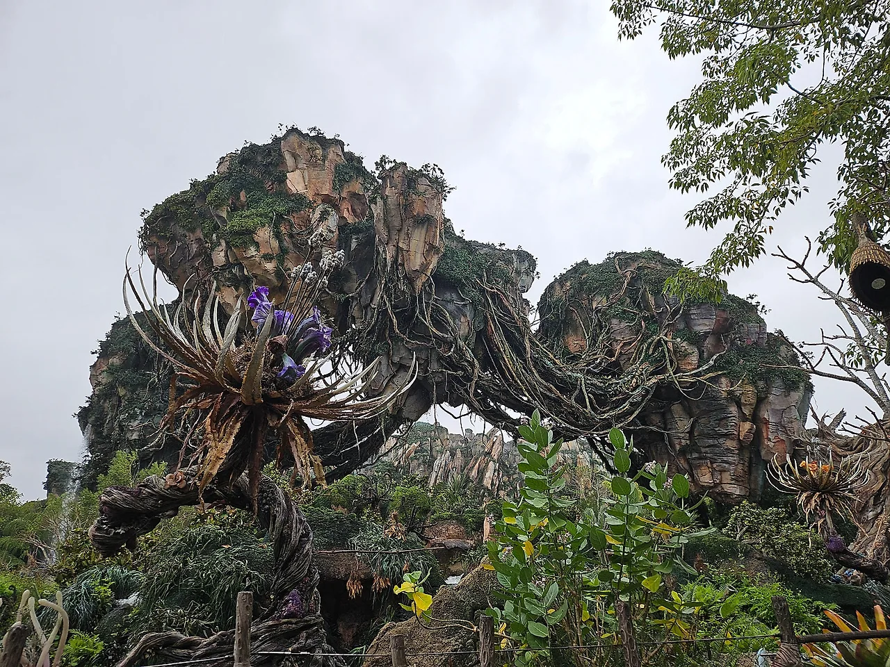 20241129_153818.jpg?type=w1600