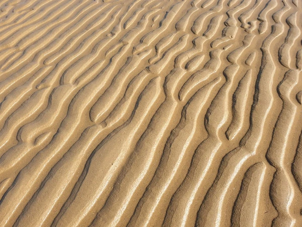 SE-597ec209-cf6b-4055-9c39-8f2ad319bba1.jpg?type=w1