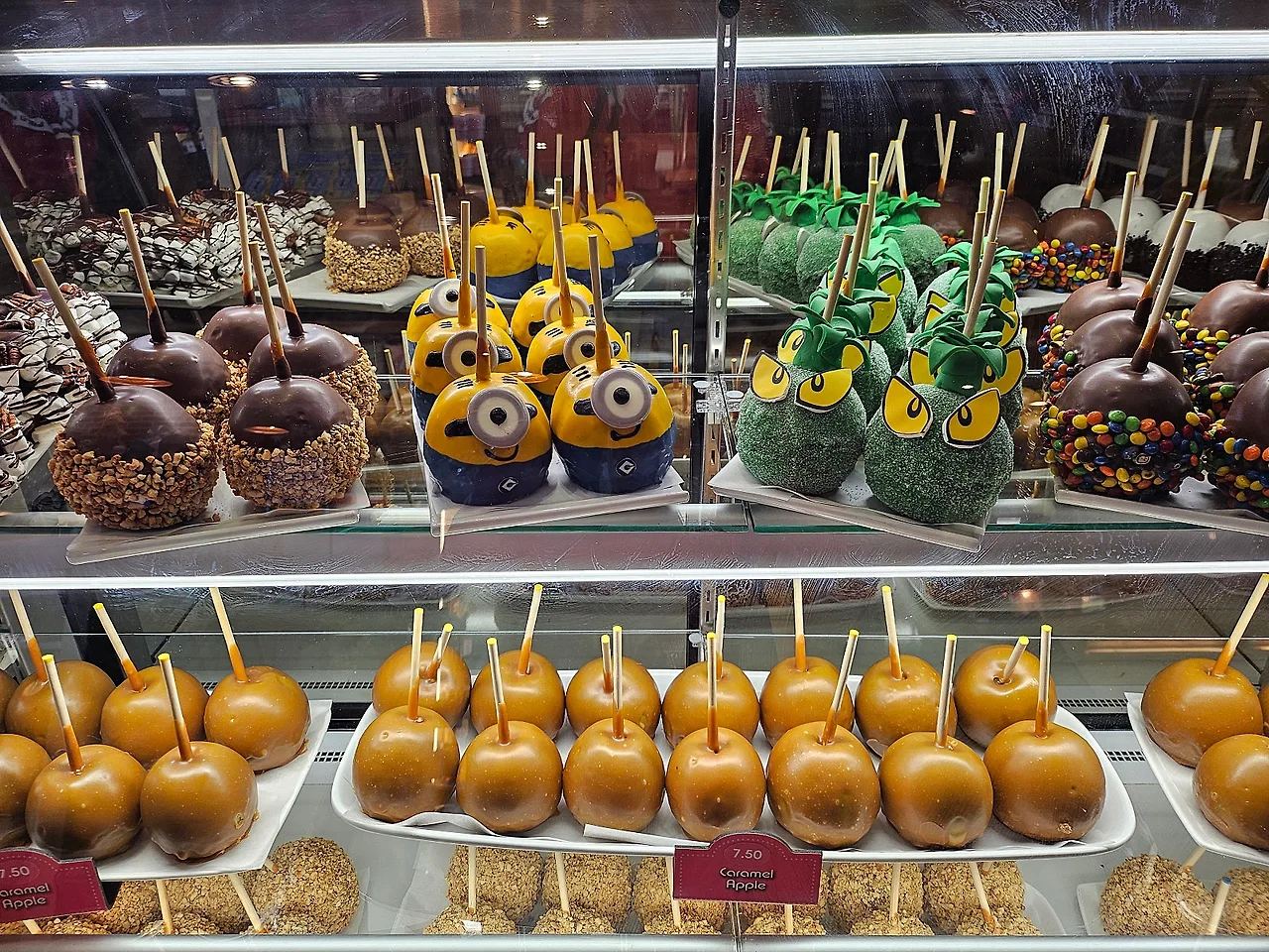 20241130_110858.jpg?type=w1600