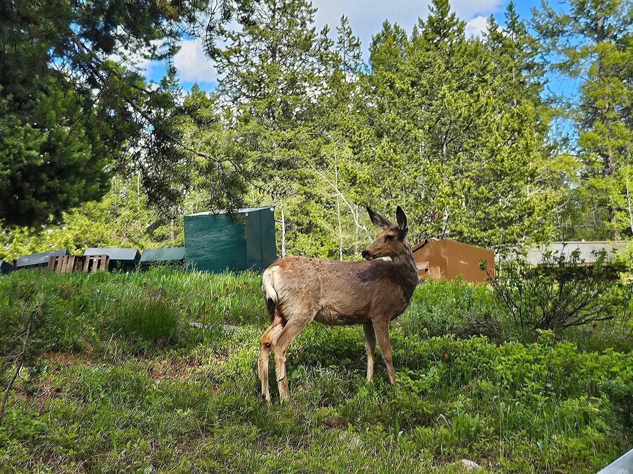 KakaoTalk_20240610_190334973.jpg?type=w1600