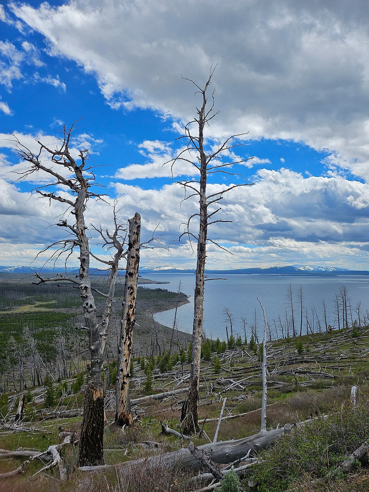 20240605_150336.jpg?type=w1600