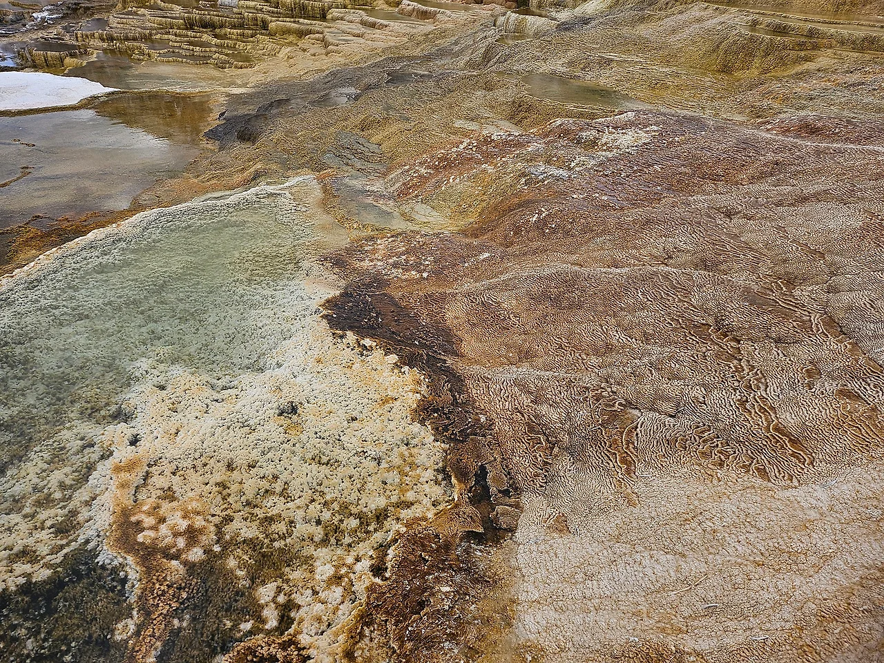 20240604_152414.jpg?type=w1600