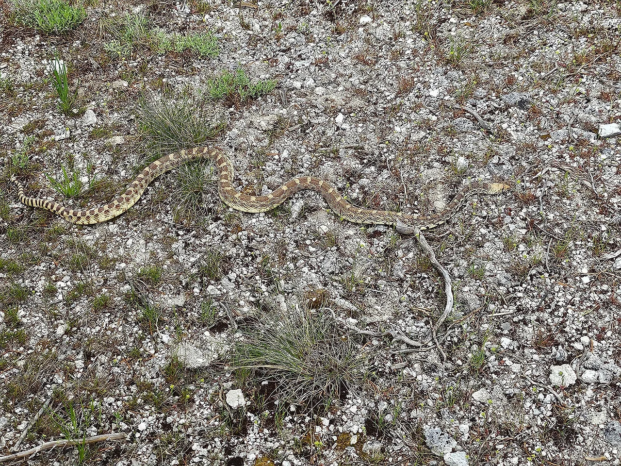 20240604_151543.jpg?type=w1600