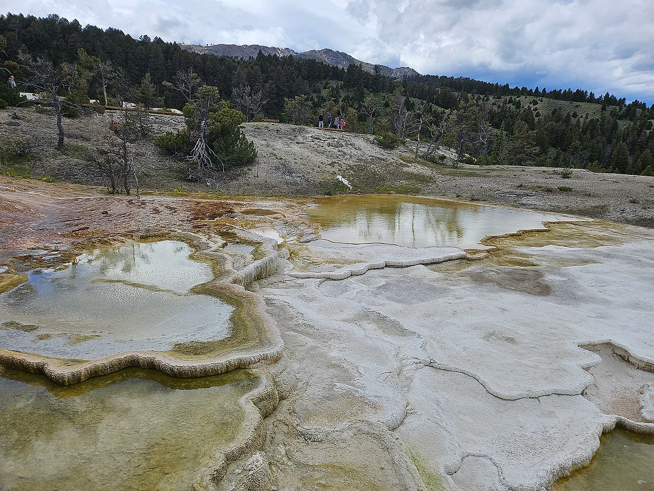 20240604_152348.jpg?type=w1600