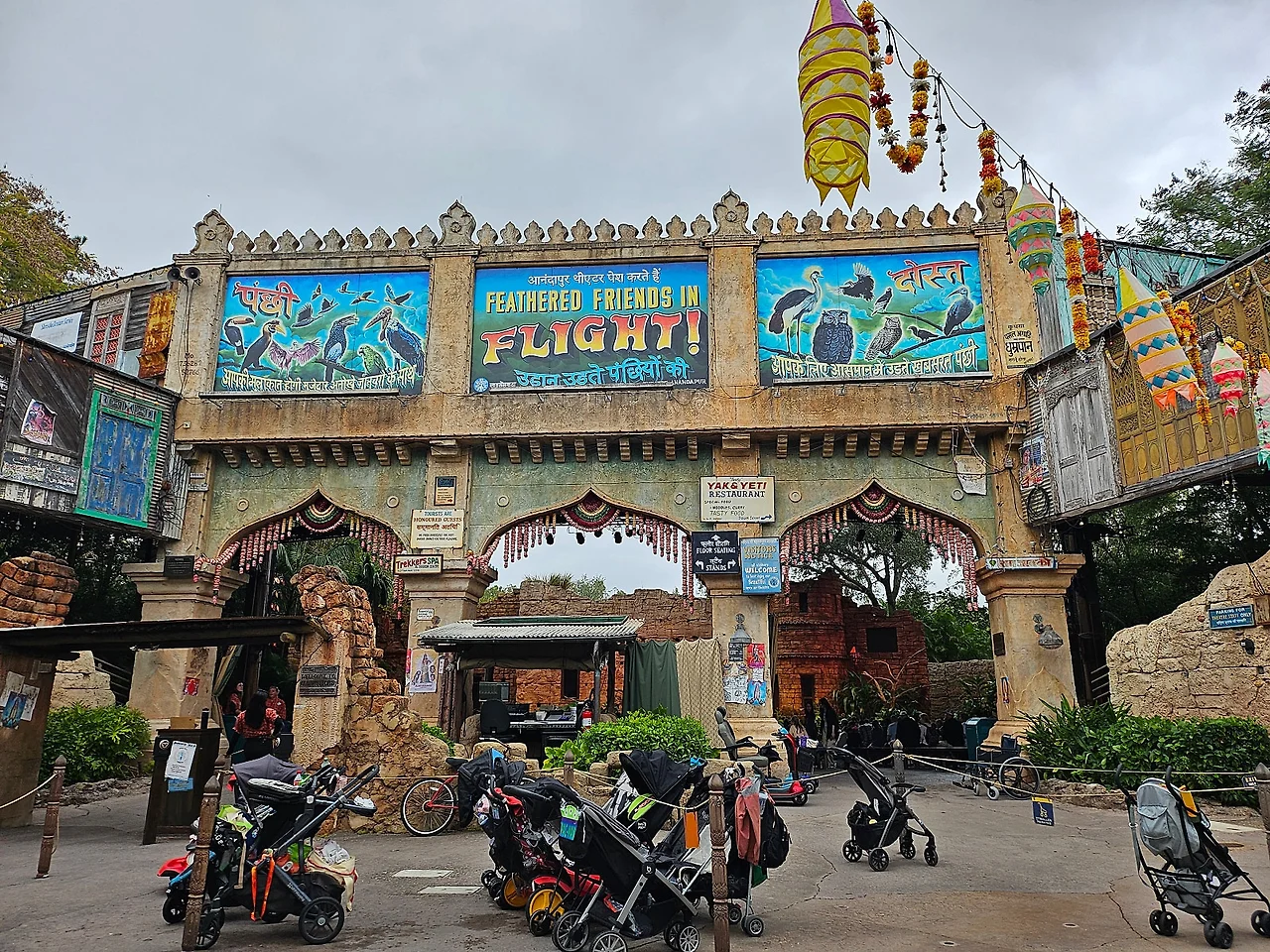 20241129_112351.jpg?type=w1600