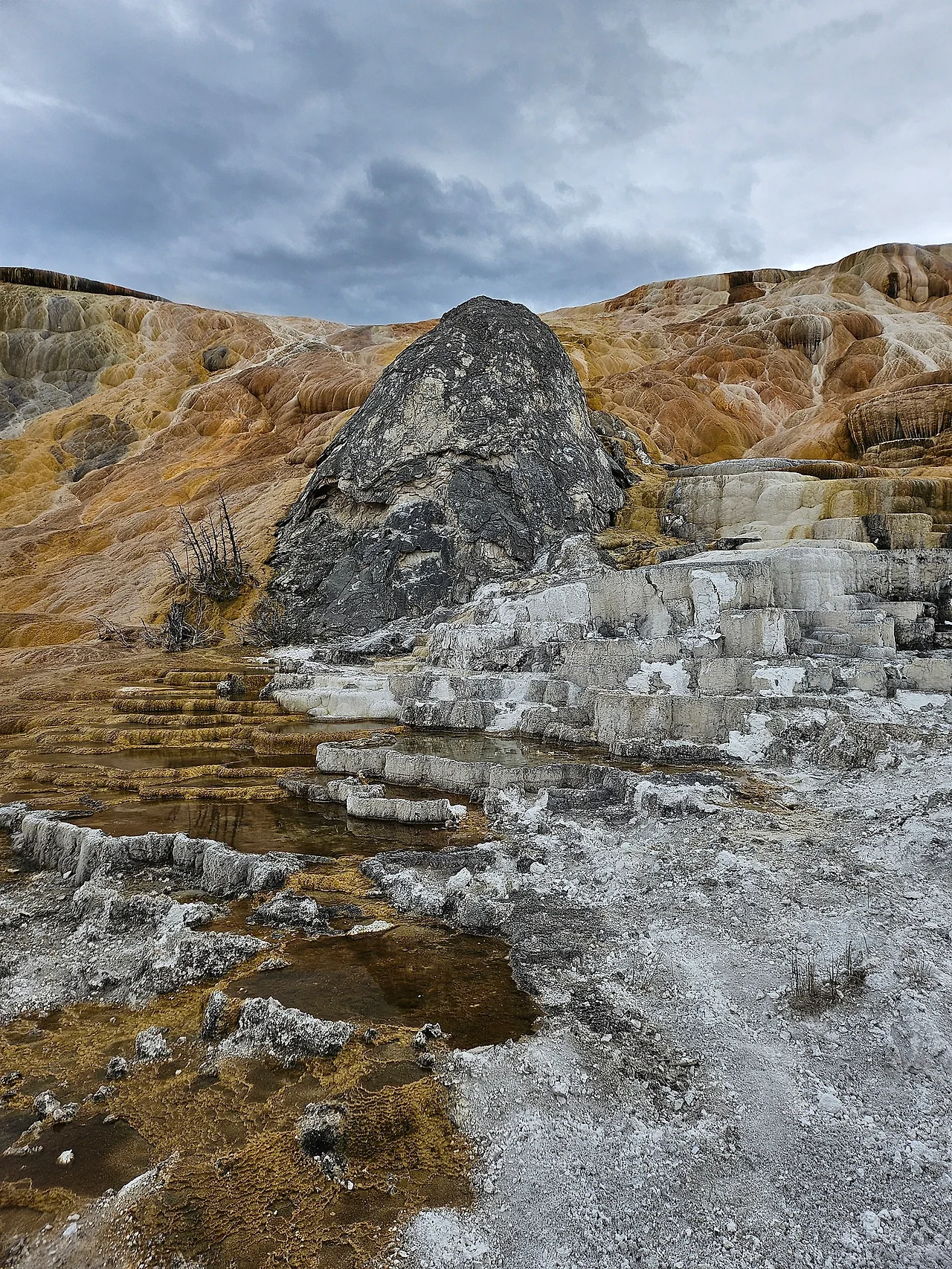 KakaoTalk_20240611_085921606.jpg?type=w1600