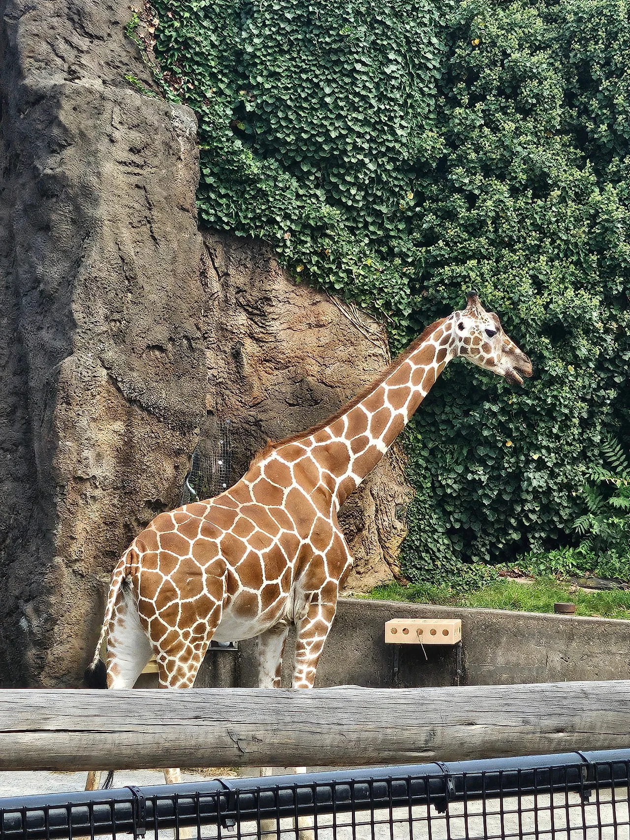 20240901_153432.jpg?type=w1600