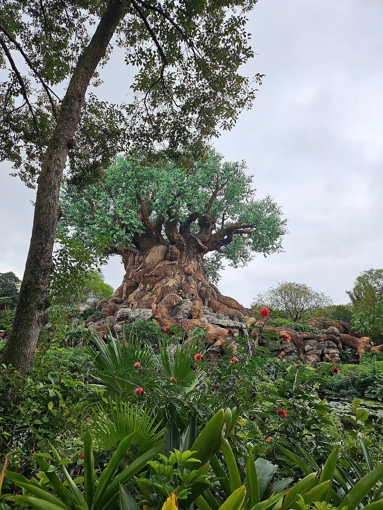 20241129_112528.jpg?type=w1600